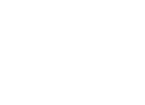 AyLex
